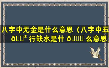 八字中无金是什么意思（八字中五 🌳 行缺水是什 🐎 么意思）